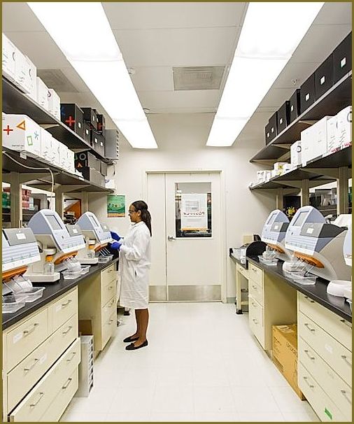 Investigación de laboratorio de plantas medicinales
